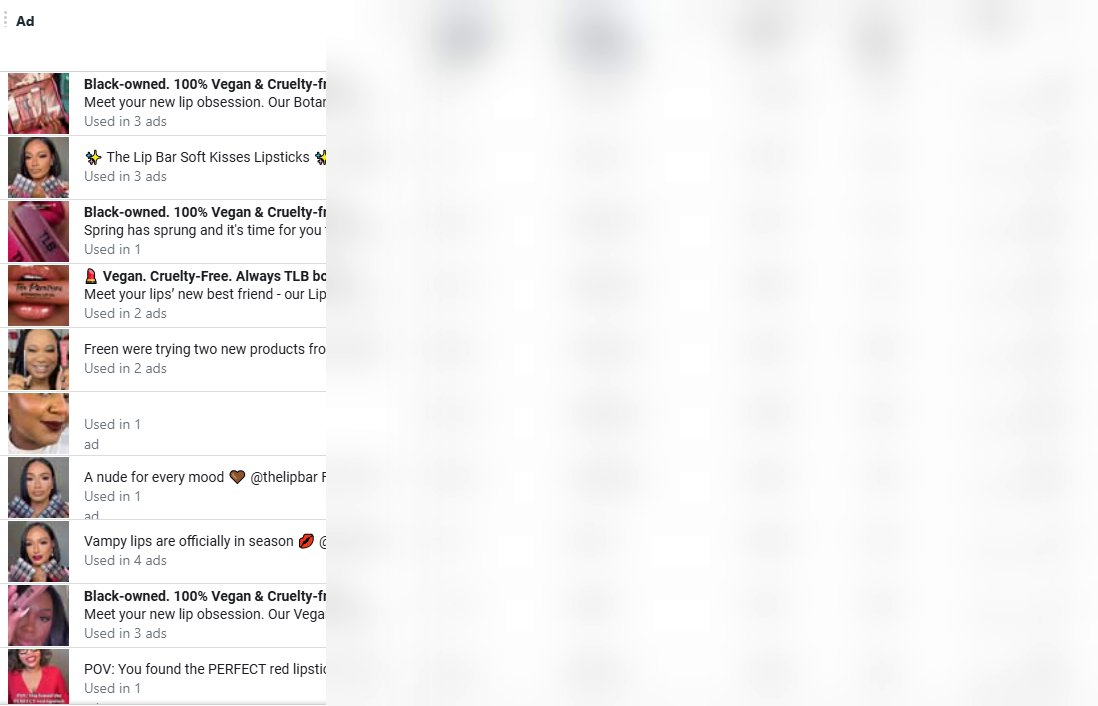 The paid-social creative performance table with ad thumbnails and copy visible and all performance columns, ROAS, spend, CTR, results, redacted.